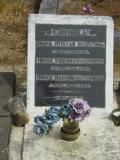 image of grave number 59447